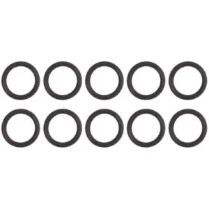 Saunier Duval / AWB o-ring 10 st 0020047021