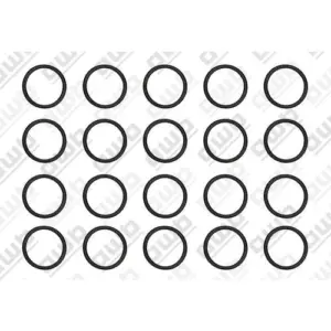 Saunier Duval / AWB o-ring 20 st. 05459300