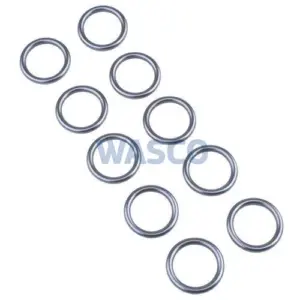 Saunier Duval / AWB o-ring set a 10st. 2000802473