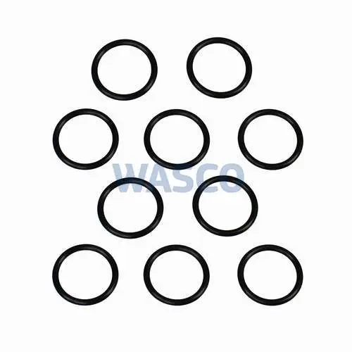 Saunier Duval / AWB o-ring tbv 3HR 10st. 0020129816