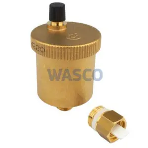 Saunier Duval / AWB ontluchter+klep ecosy- master A000035139